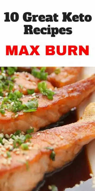 10 Great Ketosis Recipes Max Burn