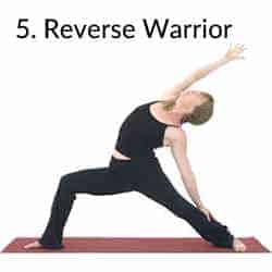 5. Reverse Warrior – Flow Yoga Beginners Information and Poses – Your ...