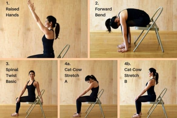 Chair Yoga Poses and Benefits – Your Lifestyle Options