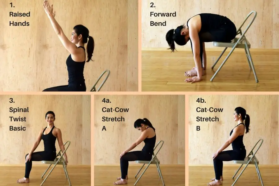 Chair Yoga Poses and Benefits Your Lifestyle Options