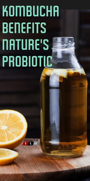 Kombucha Benefits Nature's Probiotic