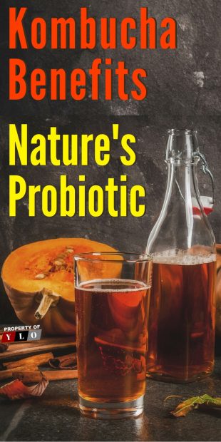 Kombucha Benefits Nature's Probiotic