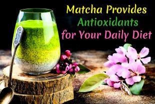Matcha Provides Antioxidants For Your Daily Diet