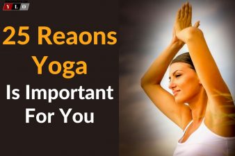 Chair Yoga Poses and Benefits – Your Lifestyle Options