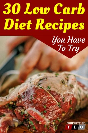 30 Low Carb Diet Recipes You Have to Try YLO 1