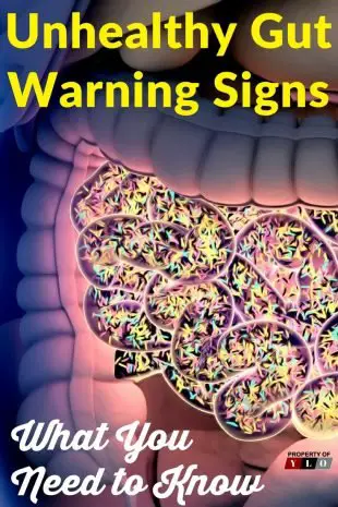 Unhealthy Gut Warning Signs and Cures 1