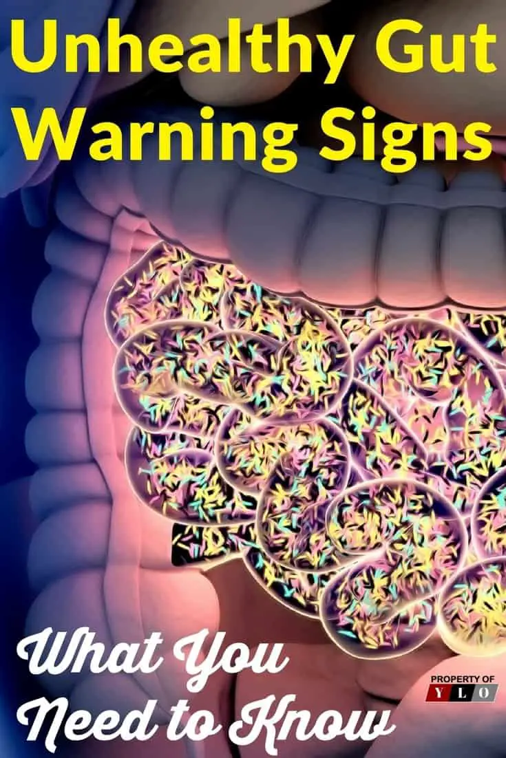 Unhealthy Gut Warning Signs – Your Lifestyle Options