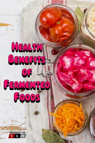 Health Benefits of Fermented Foods