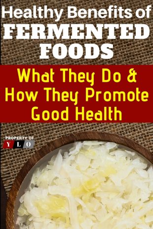 Healthy Benefits of Fermented Foods