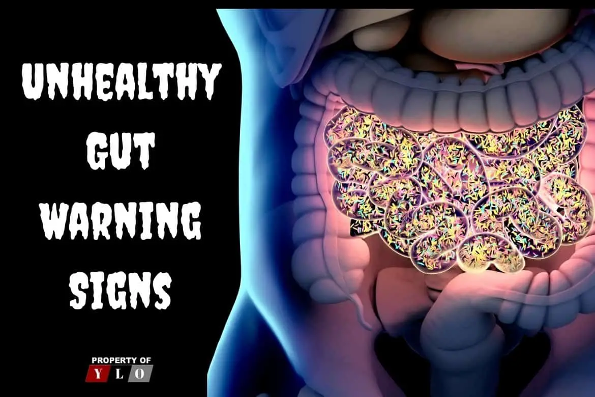 10 Warning Signs You Have An Unheathy Gut And How To