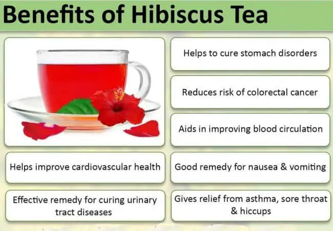Health Benefits of the Top 5 Weight Loss Teas info