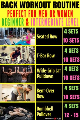 Effective Back Workouts For Beginners Info