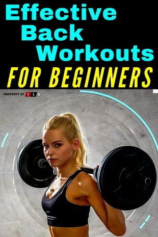 Effective Back Workouts For Beginners 1