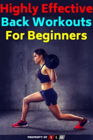 Effective Back Workouts For Beginners 2
