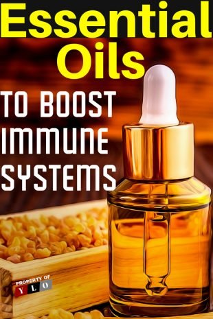 Essential Oils to Boost Immune Systems