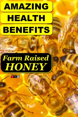 Amazing Health Benefits Farm Raised Honey