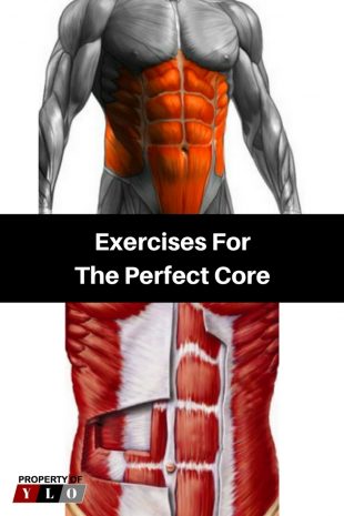 Exercises ForThe Perfect Core