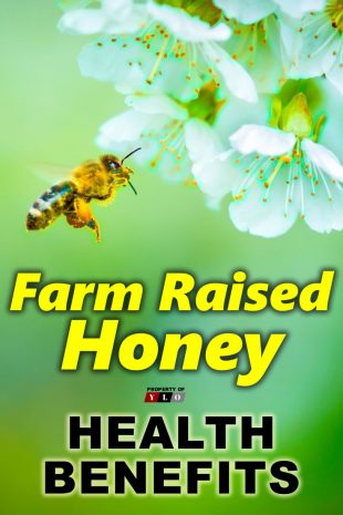 Farm Raised Honey Health Benefits2