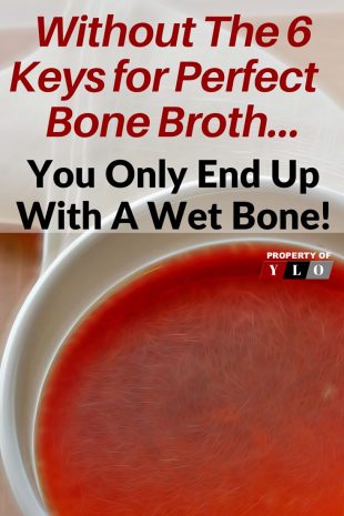 Without the 6 Keys for Perfect Bone Broth ... You Only Have A Wet Bone