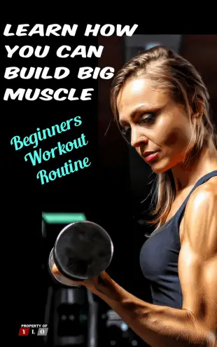 Learn How You Can Build Big Muscle - How to Build Muscle Mass