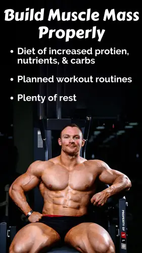 Build Muscle Mass Properly