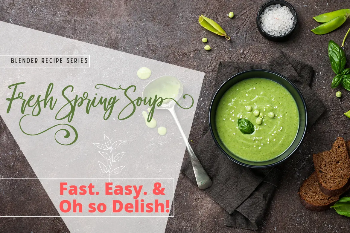 Special Blender Recipes Series: Fresh Spring Soup